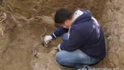 murder of moroccan woman