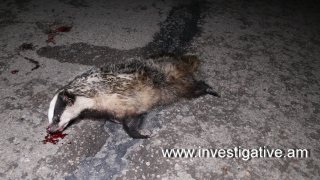 Ավտովթարի զոհ է դարձել 7 երիտասարդ. հարուցվել է քրեական գործ (լուսանկարներ)