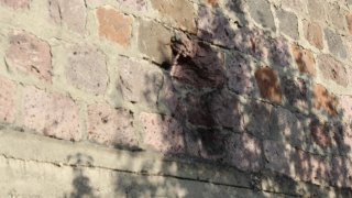 В Следственном комитете РА возбуждены 30 уголовных дел по фактам нарушения вооруженными силами Азербайджана режима прекращения огня и обстрела мирного населения из различных видов вооружения (фотографии)