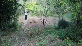 30 Criminal Cases Initiated in RA Investigative Committee on Violation of Ceasefire and Firing Shots towards Peaceful Civilians from several Weapons by Armed Forces of Azerbajan