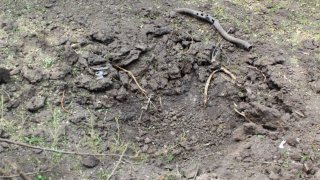 Ադրբեջանի զինված ուժերի կողմից հրադադարի ռեժիմը կոպտորեն խախտելու, Տավուշի մարզի մի շարք բնակավայրերի, հայկական մարտական հենակետերի ուղղությամբ տարբեր տրամաչափի զինատեսակներով կրակոցներ արձակելու փաստերով հարուցվել է ևս 7 քրեական գործ (լուսանկարներ)