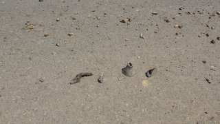 7 more Criminal Cases Initiated on Gross Violations of Ceasefire, Firing Shots towards a Number of Settlements of Tavush Province, Armenian Military Bases with Weapons of Several Calibers by Armed Forces of Azerbaijan