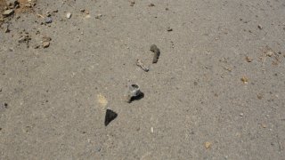 7 more Criminal Cases Initiated on Gross Violations of Ceasefire, Firing Shots towards a Number of Settlements of Tavush Province, Armenian Military Bases with Weapons of Several Calibers by Armed Forces of Azerbaijan