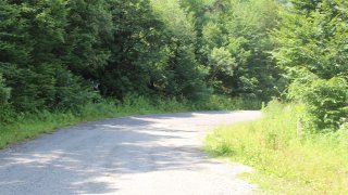 Հայտնաբերվել է դի՝ ծառից կախված վիճակում (լուսանկարներ)