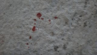 Էջմիածնի բնակիչը ձերբակալվել է համաքաղաքացուն դանակահարելու կասկածանքով (լուսանկարներ)