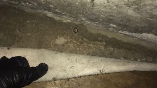 Hooliganism Committed with Weapon in Public Catering Facility (photos)