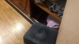 Раскрыт очередной случай квартирной кражи (Фото)