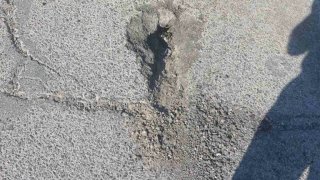 Сообщение (фотографии)