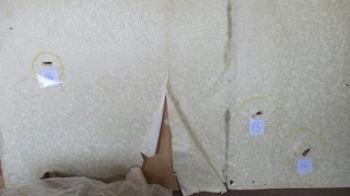 Գյումրիում կրակոցներ արձակելու համար հանրային քրեական հետապնդում է հարուցվել 41-ամյա անձի նկատմամբ (լուսանկարներ)