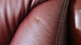 Покушение на убийство роженицы в больничной палате. Жизнь женщины удалось спасти(фото)