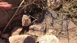 Հարուցվել է քրեական գործ՝ մանկահասակ երեխայի սպանության դեպքի առթիվ. ձերբակալվել է հայրը (լուսանկարներ)