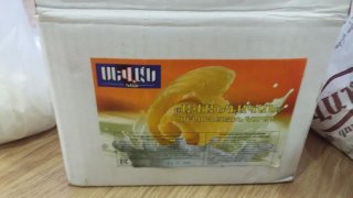 Kindergarten Director Arrested on Suspicion of Squandering in Particularly Large Amount (photos)