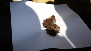 ԻԻՀ  երկու քաղաքացի կալանավորվել է՝ ապօրինի կերպով թմրամիջոց ձեռք բերելու, պահելու և իրացնելու մեղադրանքով (լուսանկարներ, տեսանյութ)