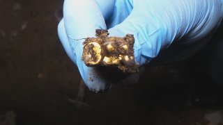 Investigators of IC Investigative Division of Erebuni and Nubarashen Administrative Districts Disclosed Murder Committed 14 Years ago; One Person Arrested (photos)