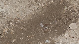 В Следственном комитете РА возбуждены 30 уголовных дел по фактам нарушения вооруженными силами Азербайджана режима прекращения огня и обстрела мирного населения из различных видов вооружения (фотографии)