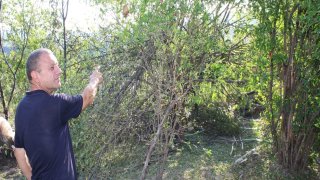 30 Criminal Cases Initiated in RA Investigative Committee on Violation of Ceasefire and Firing Shots towards Peaceful Civilians from several Weapons by Armed Forces of Azerbajan