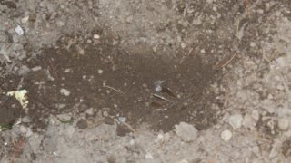 30 Criminal Cases Initiated in RA Investigative Committee on Violation of Ceasefire and Firing Shots towards Peaceful Civilians from several Weapons by Armed Forces of Azerbajan