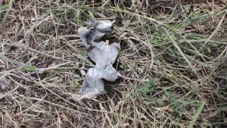 Ադրբեջանի զինված ուժերի կողմից հրադադարի ռեժիմը կոպտորեն խախտելու, Տավուշի մարզի մի շարք բնակավայրերի, հայկական մարտական հենակետերի ուղղությամբ տարբեր տրամաչափի զինատեսակներով կրակոցներ արձակելու փաստերով հարուցվել է ևս 7 քրեական գործ (լուսանկարներ)