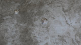 По факту грубого нарушении ВС Азербайджана режима прекращения огня, обстрелов из вооружения различного калибра мирного населения ряда населенных пунктов Тавушской области, армянских боевых опорных пунктов в СК РА возбуждено еще 7 уголовных дел(фотографии)