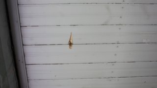 По факту грубого нарушении ВС Азербайджана режима прекращения огня, обстрелов из вооружения различного калибра мирного населения ряда населенных пунктов Тавушской области, армянских боевых опорных пунктов в СК РА возбуждено еще 7 уголовных дел(фотографии)