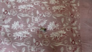 7 more Criminal Cases Initiated on Gross Violations of Ceasefire, Firing Shots towards a Number of Settlements of Tavush Province, Armenian Military Bases with Weapons of Several Calibers by Armed Forces of Azerbaijan