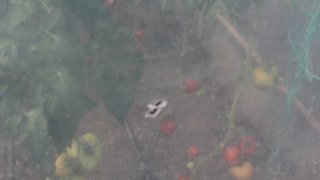 Ադրբեջանի զինված ուժերի կողմից հրադադարի ռեժիմը կոպտորեն խախտելու, Տավուշի մարզի մի շարք բնակավայրերի, հայկական մարտական հենակետերի ուղղությամբ տարբեր տրամաչափի զինատեսակներով կրակոցներ արձակելու փաստերով հարուցվել է ևս 7 քրեական գործ (լուսանկարներ)