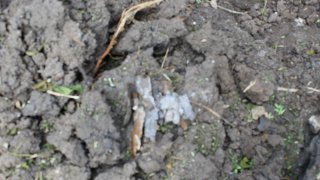 7 more Criminal Cases Initiated on Gross Violations of Ceasefire, Firing Shots towards a Number of Settlements of Tavush Province, Armenian Military Bases with Weapons of Several Calibers by Armed Forces of Azerbaijan