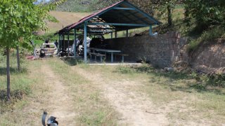 7 more Criminal Cases Initiated on Gross Violations of Ceasefire, Firing Shots towards a Number of Settlements of Tavush Province, Armenian Military Bases with Weapons of Several Calibers by Armed Forces of Azerbaijan