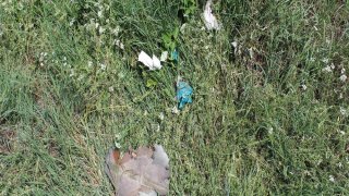 По факту грубого нарушении ВС Азербайджана режима прекращения огня, обстрелов из вооружения различного калибра мирного населения ряда населенных пунктов Тавушской области, армянских боевых опорных пунктов в СК РА возбуждено еще 7 уголовных дел(фотографии)