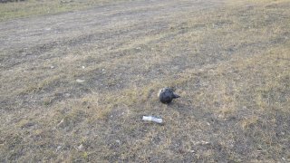 On facts of unleashing and waging aggressive war from 28.09.20  by military-political leadership of Azerbaijan against the Republic of Armenia, committing serious violations of norms of international humanitarian law, criminal cases were initiated at IC