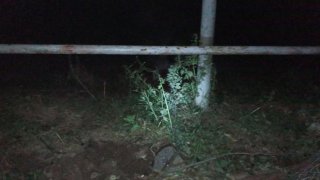 Ավտոպատահար՝ Տավուշում. կա մեկ զոհ (լուսանկարներ)