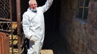 Քրեական գործ՝ ինքնասպանության հասցնելու հատկանիշներով (լուսանկարներ)