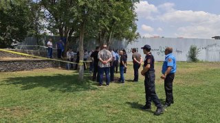 «Թումո» զբոսայգում հայտնաբերվել է դի՝ ծառից կախված վիճակում (տեսանյութեր, լուսանկարներ)