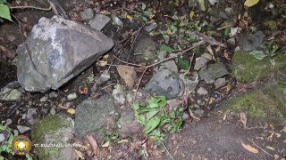 Տրակտորն ընկել է ձորակը. հայրը և որդին զոհվել են (տեսանյութ, լուսանկարներ)