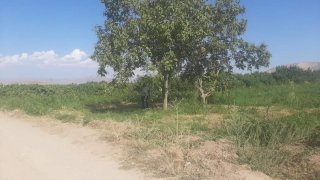 Նորաշենի բնակիչը ձերբակալվել է՝ համագյուղացու նկատմամբ սպանության փորձ կատարելու կասկածանքով (լուսանկարներ)