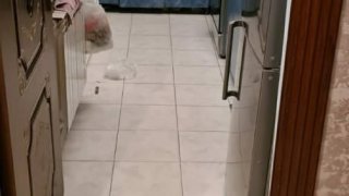 25 year-old Man Arrested on Suspicion of his Uncle’s Murder (photos)