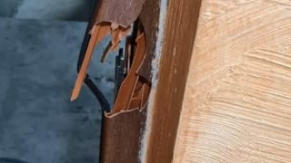 25 year-old Man Arrested on Suspicion of his Uncle’s Murder (photos)