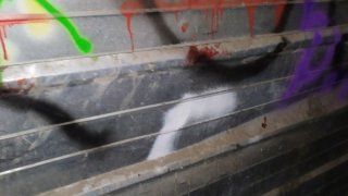 Murder Attempt in Yerevan; Criminal Case Initiated (video, photos)