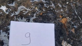 Սպանության փորձ Վեդիում. հարուցվել է քրեական գործ (լուսանկարներ)