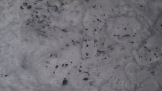 Circumstances of Receiving Fatal Firearm Injury by 24 year-old Young Man being Found out (photos)