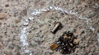 Ձերբակալություն՝ Սևան քաղաքում զենքի գործադրմամբ խուլիգանություն կատարելու կասկածանքով (տեսանյութ, լուսանկարներ)