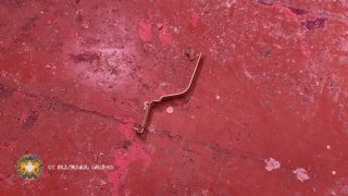 Мужчина задержан по подозрению в убийстве 41-летней женщины (видео, фото)