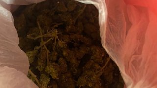 Բացահայտվել է առանձնապես խոշոր չափերով  թմրամիջոցի ապօրինի շրջանառության հերթական դեպքը. կալանավորվել է մեկ անձ (լուսանկարներ)   