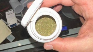 Было обнаружено большое количество наркотиков и предметов для изготовления наркотиков: два человека были арестованы по обвинению в незаконном обороте наркотиков (видео, фото)