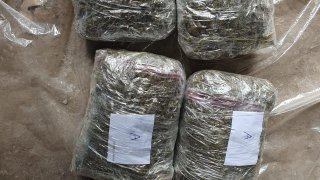 Раскрыт случай контрабанды из Ирана в Армению различных наркотических средств в особо крупных размерах: представлено ходатайство об аресте трех лиц (фото)