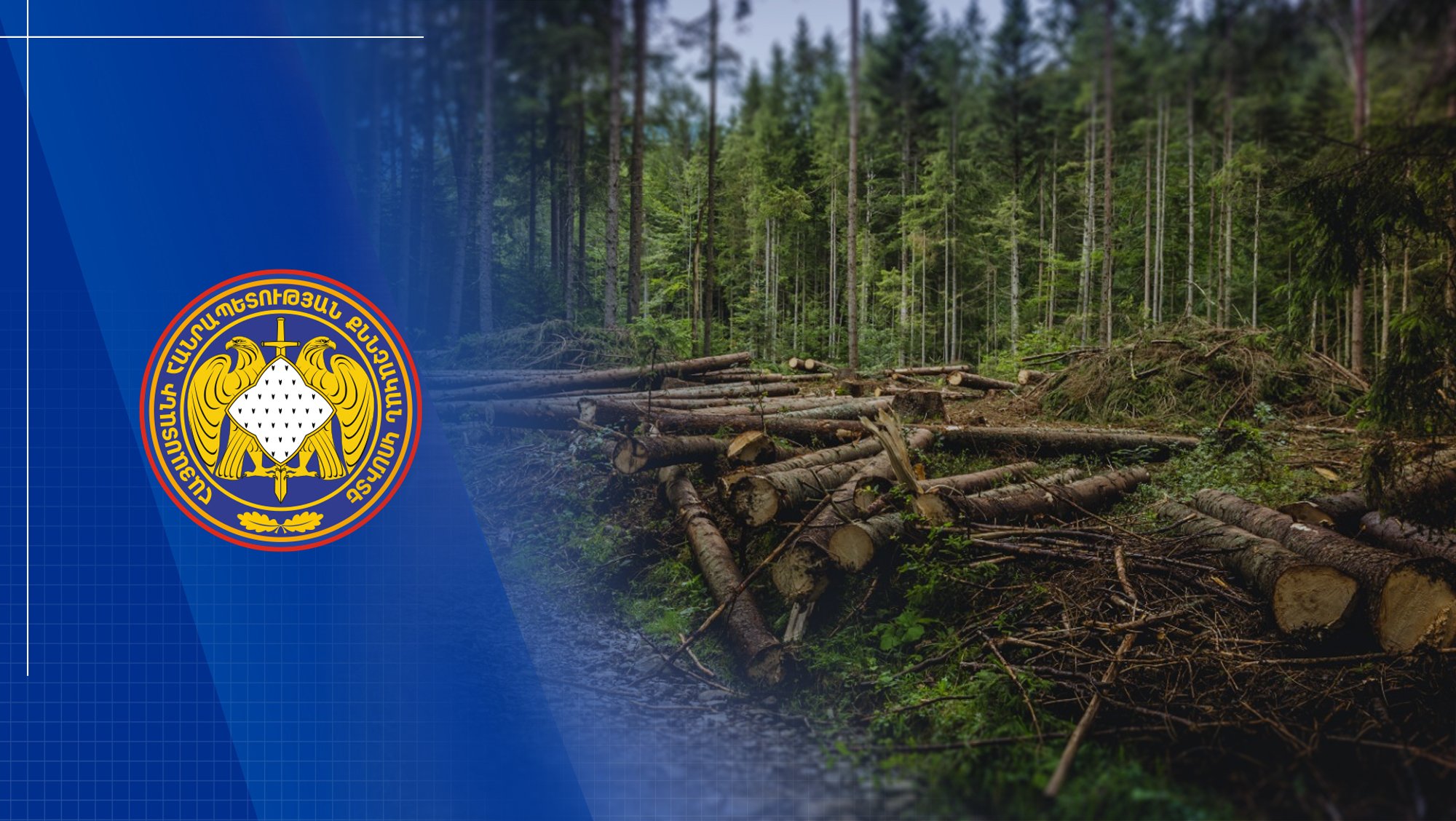 «Հայանտառ» ՊՈԱԿ-ի մասնաճյուղերից մեկի տնօրենը պետությանը պատճառել է առանձնապես խոշոր չափերով վնաս