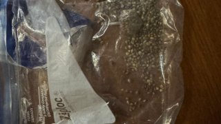 Illegal Weapon and Ammunition Detected: about 30 Individuals Arrested