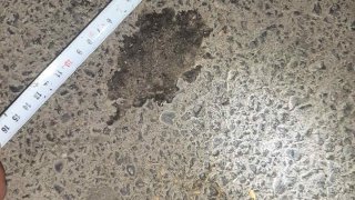 Հաղթանակ թաղամասում մի խումբ անձանց կողմից խուլիգանության, բռնություն գործադրելու և հրազեն կիրառելու դեպքի նախաքննությամբ պարզվում են միջադեպի մասնակից անձինք