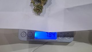 As a Result of Searches Conducted in Ararat Region Illegal Weapon-Ammunition Found