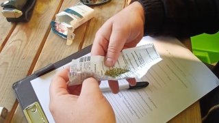 As a Result of Searches Conducted in Ararat Region Illegal Weapon-Ammunition Found